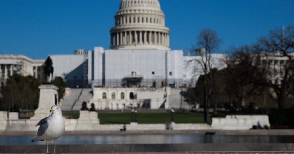 An information strategy for the United States